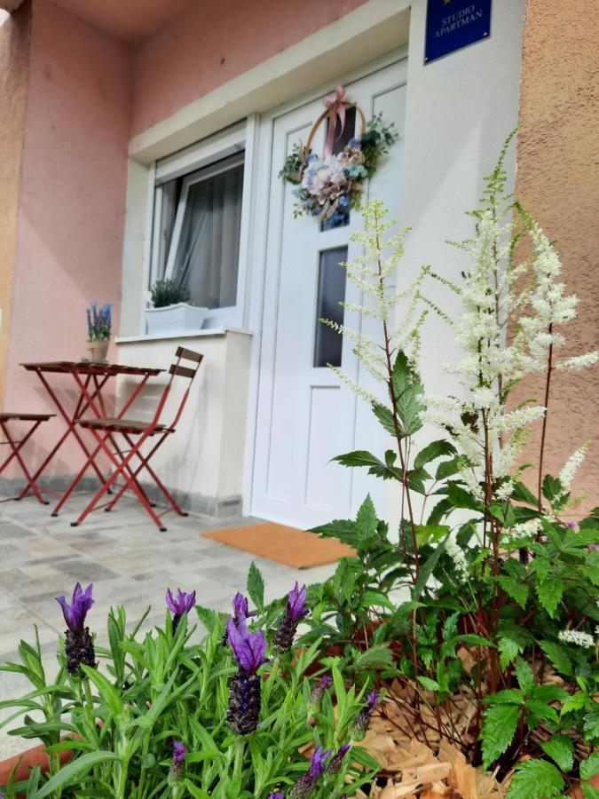 Križevci Apartmani Venium מראה חיצוני תמונה